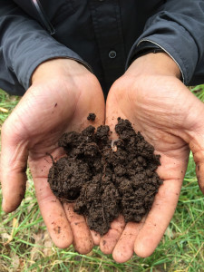 Healthy soils are ALIVE! Check out the roots, organic matter, and earthworm in this healthy soil. Photo taken near Mana Road in Parker Ranch pasture in August 2016.